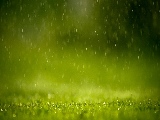 raining_in_the_grass-1920x1080
