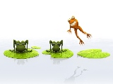 jumping_frog-1280x800