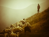 shepherd_in_romania-1920x1080